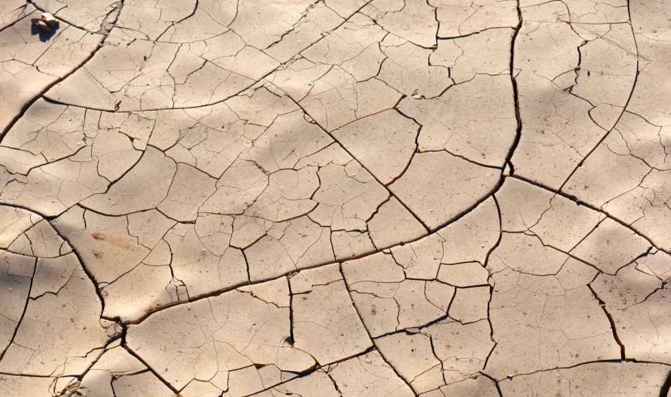 dry cracked land